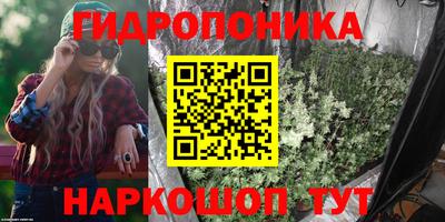 шишки Малоярославец