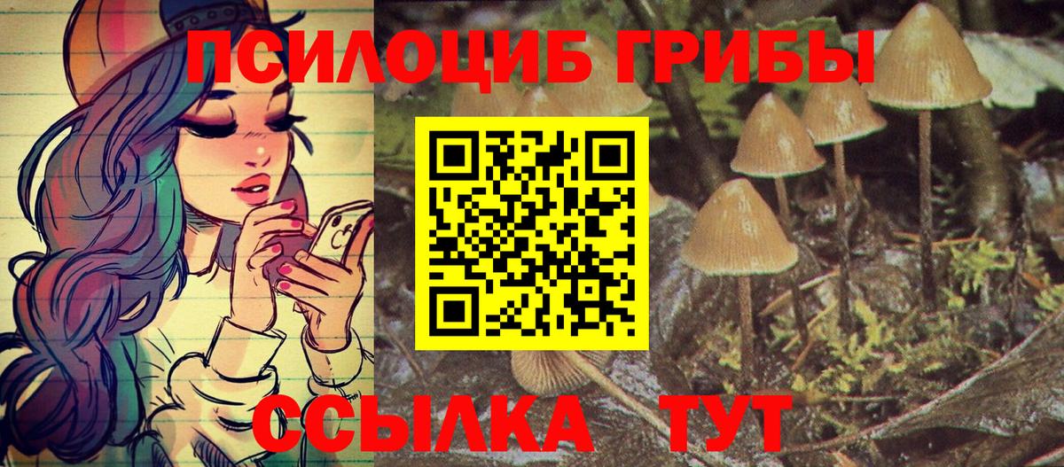 Галлюциногенные грибы ЛСД Сухой Лог