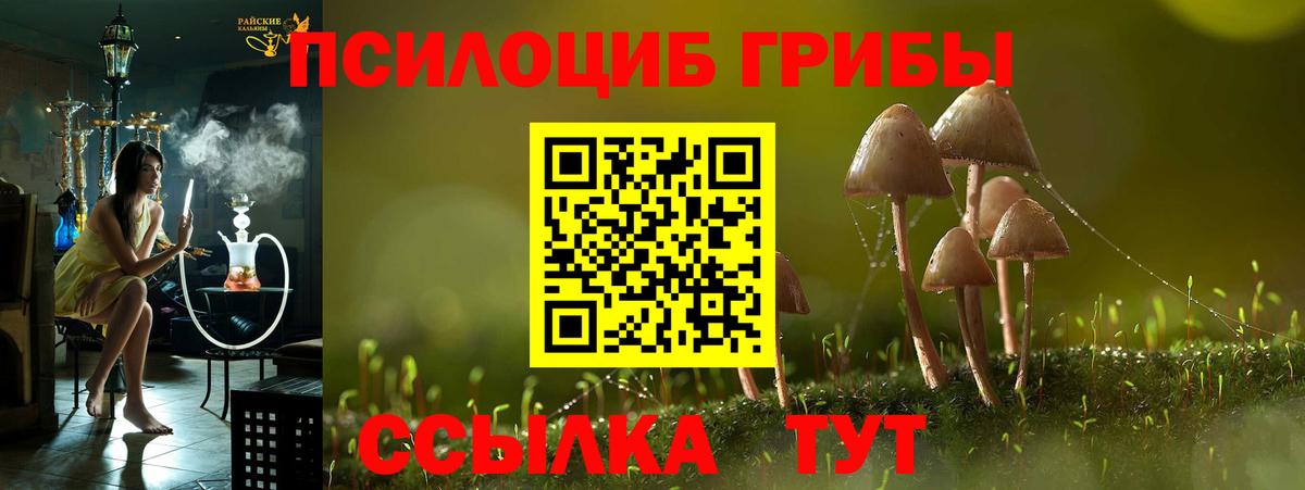 Сухой Лог  Псилоцибиновые грибы ЛСД  Псилоцибиновые грибы Cubensis  Вход с VPN 